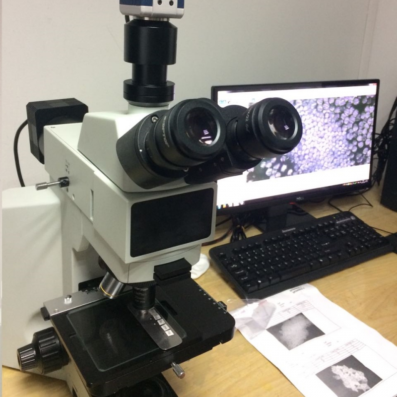 BD-40 infinity parfocal microscope Metallurgical Reflected light ...